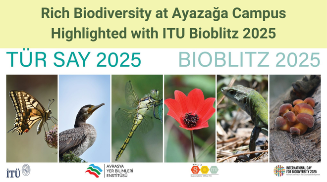 Rich Biodiversity at Ayazağa Campus Highlighted with ITU Bioblitz 2025 Görseli